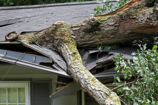Storm Remediation in Woodstock