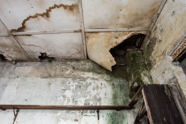 Water Damage Service in Woodstock