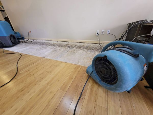 Water Damage Mitigation in Woodstock