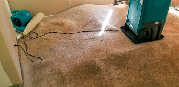 Carpet Water Extraction in Woodstock