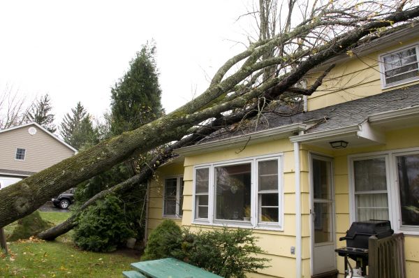 Cost of Hurricane Damage Repair in Woodstock